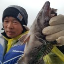 네이처그린 이미지