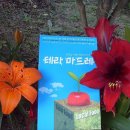 테라마드레 이미지