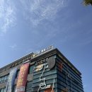 신사드림약국 | 끄적끄적 제주도 한 달 살이 : 일기 여행 와서 하는 일 병원 다니기 🐹