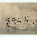 야곱의뜰 이미지