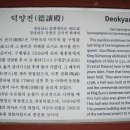 유의태 카카오 검색결과