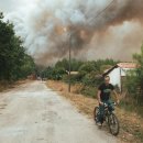 Incendies : une indispensable réponse nationale et européenne 이미지