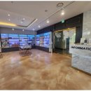 즐거운 강아지 이미지