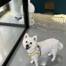 환해지개 이미지