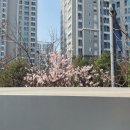 홈플러스 앞 | 운정 홈플러스 몰 몰빵데이, 다녀온 후기와 알찬 혜택 정리!