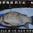 자유낚시