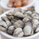 꼬막꼬막 이미지