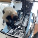 엠에스자동차 | [그릴튜닝] 충남 천안 수입차 그릴 교체, 믿을만한 업체에서 시공해야하는 이유 #벤츠세로그릴 #BMW그릴...