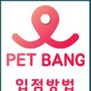 헤어멍펫살롱 이미지