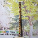 나도 팬플룻 연주자 이미지