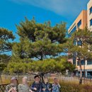 "매산로 93병상" 수원힐요양병원, 작게 보는 팔달구 후보의 장단점