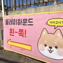 플레이하운드 이미지