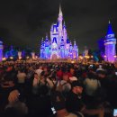 킹덤랜드5 이미지