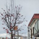 신사2-047 이미지