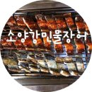 소양강민물장어 이미지