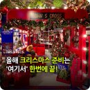 트리나하우스 | 영국 감성 물씬! 올해 &#39;크리스마스 준비&#39;는 모던하우스에서 완벽하게 끝내세요.