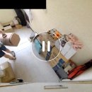 조이앤동물병원 이미지