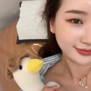 에이치에스(H.S)멀티샵 | 압구정왁싱 S&amp;H듀얼왁싱 브라질리언왁싱 잘하는 곳 방문후기!