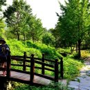 금강4농장 이미지