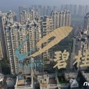 박형기부동산