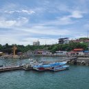 대도유료낚시터 이미지