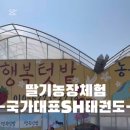 국가대표 SH 태권도장 이미지