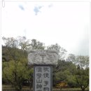 내집인제주 이미지