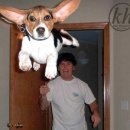 왕초보이모티콘만들기 이미지