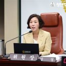 김조치 이미지