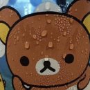 재노