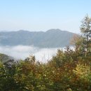 양지마을건물 이미지