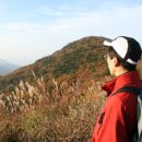 지리산의 아침 이미지