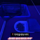 버스정류장 07-500 | [수유] 동대문 실내데이트 추천 가자실내낚시터 솔직후기