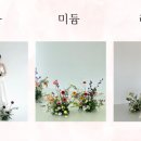 벨레사