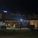 킹 | 제주도 숙소 추천 제주 해비치 호텔&amp;리조트 수페리어 킹 후기