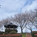 버거킹 김해공항DT점 이미지