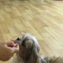 해피올동물병원 이미지