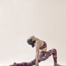 아쉬탕가 요가 이미지