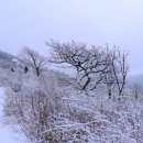 바우길 1구간 이미지
