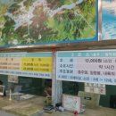 월악나루 선착장2 이미지