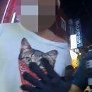 평택-평택-4 이미지