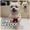 강아지 미용 | 서충주 강아지미용 히독 위생미용 내돈내산 후기