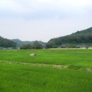 () 경북 봉화의 꿀명소를 거닐다 ~~ 닭실마을, 석천계곡, 청암정 여름 산책 이미지