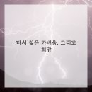 편안몸한의원 이미지