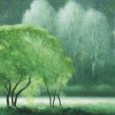 천과나무 이미지