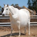 길한의원 이미지