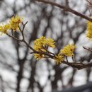 아구대통령 이미지