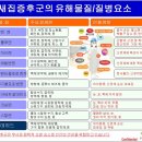 세종코퍼레이션주 이미지