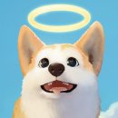 리틀퍼피 | 마이 리틀 퍼피 플레이 후기