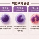 강나연 스킨앤바디